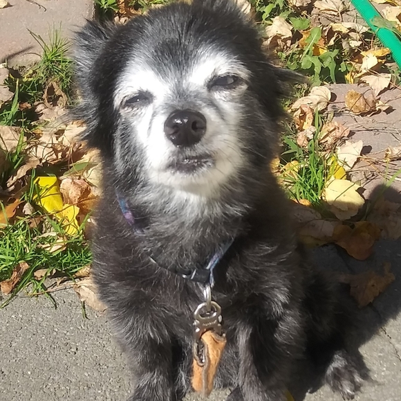 Meet your Posher, Nicole - Picture 5 of 8